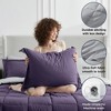 BAGOKIE 5/7 PCS Bed in a Bag Reversible Bedding Set with Comforter, Sheets, Pillow Sham, Pillowcase - 2 of 4