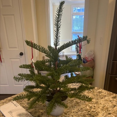 Guest review image 1 of 1, zoom in