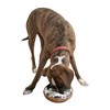Unspill-a-Bowl® Stainless Steel Dog Bowl - Classic Silver | No Spill, Long Ears, Slow Feeding - 3 of 3