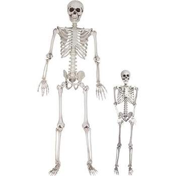 Halloween Life Size Skeleton Value 2 Pack - Adult (5' 4") and Child (3') Decorations w Bending Joints - Weatherproof Human Bones Body Prop - Perfect for Indoor/Outdoor Use