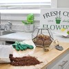 Soil Sunrise Terrarium Potting Soil Mix, w/ Blended Filtering Charcoal for Terrariums - 4 of 4