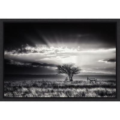 Amanti Art sunrise with hartebeest by Piet Flour Canvas Wall Art Print Framed 23-in. x 16-in.