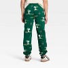 Boys' Snoopy Ski School Fleece Graphic Jogger Pants - Green - 2 of 3