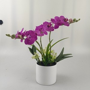 Real Touch Phalaenopsis Orchid in Pot : Target