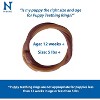 N-Bone Grain Free Puppy Teething Rings - Chicken Flavor(6 Count) - 3 of 4
