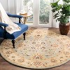 Antiquity AT249 Hand Tufted Indoor Rugs - Safavieh - 2 of 4