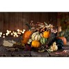 Mixed Ornamental Gourds - 3 of 4