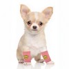 Unique Bargains Dog Leg Warmers Winter Warm Knitted Joint Protection Suitable for Kitten Puppies - 3 of 4