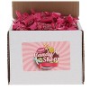 Tootsie Fruit Chews Candy in Box, 1lb (Individually Wrapped) - 3 of 4