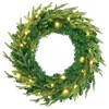 Resenkos 6ft Pre-Lit Aspen Fir Christmas Tree Bundle with Wreath and Garland, 380 Multi-Color LED Lights, Green - 3 of 4