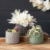 6"H Sullivans Hydrangea Pampas Orb, Cream - 3 of 3