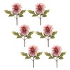 Blush Pink Dahlia Flower Stem (Set of 6) - 2 of 3