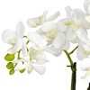 Nearly Natural Phalaenopsis Silk Flower Arrangement - image 2 of 3