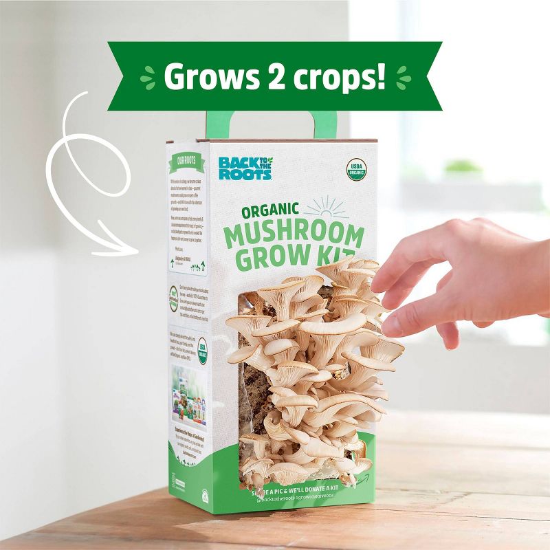 Back to the Roots Organic Mushroom Grow Kit - Oyster, 5 of 14