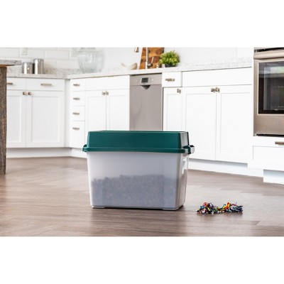 Large Green Elevated Feeder with Stainless Steel Bowls and Airtight Storage