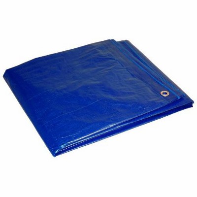 Foremost Dry Top 5 Ft. W X 7 Ft. L Light Duty Polyethylene Tarp Blue ...