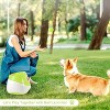 Automatic Dog Ball Launcher - 3 of 3