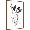 23"x33" Paradise Botanicals I by Danhui Nai Framed Canvas Wall Art Print Bronze - Amanti Art: Modern Style, Polystyrene Frame - 2 of 4