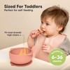 2-Pack Prep Baby Bowls with Suctions & Lids, Silicone Bowls for Baby Boy, Girl, Toddler Suction Bowl, Kids Bowl BPA-Free - 3 of 4