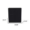 HomeRoots 20" Black Wood Accent Cabinet With Two Doors And One Drawer - 3 of 4