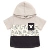 Disney Winnie the Pooh Pullover Hoodie and French Terry Shorts Toddler - 2 of 4