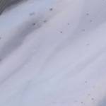 High Desert Marble Clear