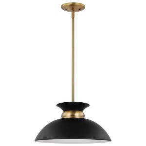 Nuvo Lighting Perkins 1 - Light Pendant in  Matte Black/Burnished Brass - 1 of 1