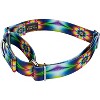 Country Brook Petz Tie Dye Flowers Martingale Dog Collar - 3 of 4