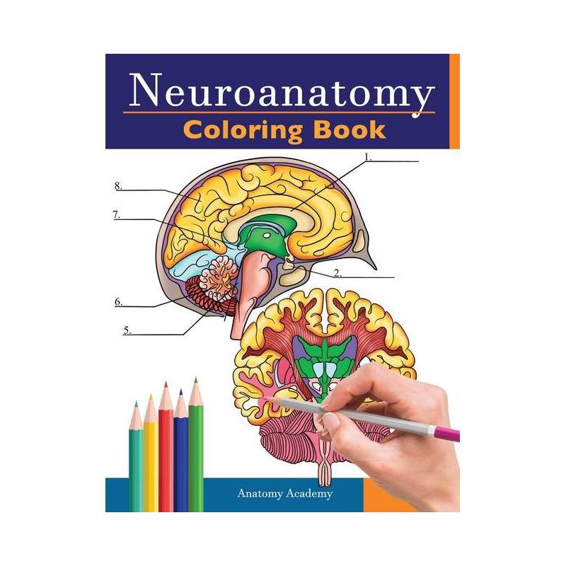 Neuroanatomy Coloring Book - by  Anatomy Academy (Paperback), 1 of 2