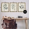 Stupell Industries Green Botanical Latin Study, 25" x 31" - 3 of 4