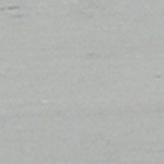 coastal white