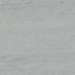 coastal white