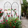 Lirago 78.7"H * 19.7"W * 1"D,4 Pack Metal Garden Trellis Rustproof Climbing Plant Support for Outdoor Flowers, Vines, Vegetables Black Powder-Coated - 3 of 4