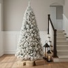 4' Green And White Slender Flocked Pine Christmas Tree - 2 of 4