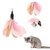 Unique Bargains Cat Wand Replacement for Pet Interactive 2 Pieces - 3 of 4