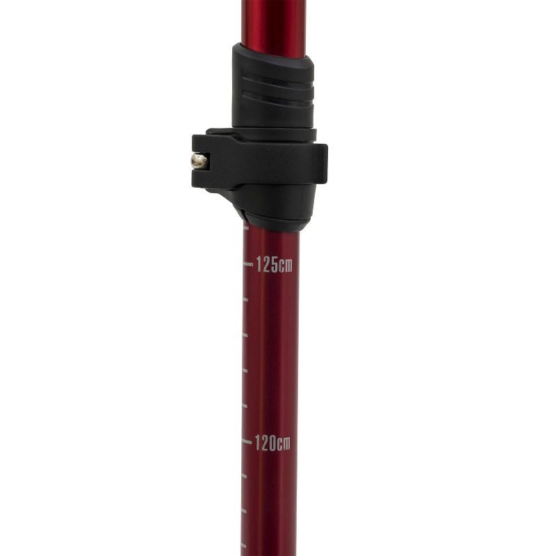 ALPS Mountaineering Conquest Trekking Pole, 3 of 6