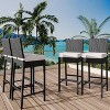 Rattan Bar Chair, Bar Stool with Cushions, Kitchen Barstool, Patio Wicker Chair Height Stool Set, Home Bar Seating for Indoor Outdoor, Backyard - 2 of 4