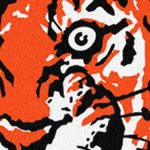 detroit tigers 1961-1963