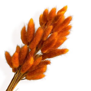 Alilang Dried Bunny Tail Grass Stems for Modern Home Decoration and Floral Arrangements, 23.5 Inches - 1 of 3