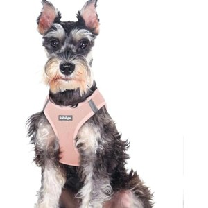 rabbitgoo Small Dog Harness, Step-in Soft Mesh Reflective Pet Harness for Large Dogs, Pink XXL - 1 of 1