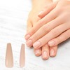 Unique Bargains Women's Beautiful Fake Nails Colorful 240-pieces Per Set - 2 of 4