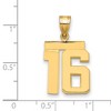 Black Bow Jewelry 14k Yellow Gold, Athletic Collection Medium Polished Number 16 Pendant - 2 of 3