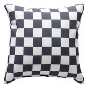 Manual Woodworks and Weavers Pet Lover Accent Pillow – “Spread Love Like Dog Hair” 9×9 Climaweave Cushion - 2 of 3