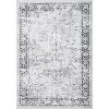 Coucheta Machine Washable Runner Rug, Non-Slip Low Pile Vintage Distressed Carpet for Kitchen Hallway Bedroom Entryway,Multiple sizes and colors - 2 of 4