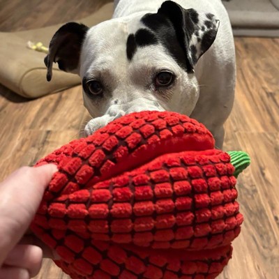 Strawberry with Crinkle Plush Dog Toy - Boots & Barkley™ : Target