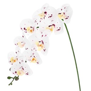 Unique Bargains Artificial Orchid Flowers Nine-headed Large Faux Phalaenopsis Silk Bouquets Real Touch 37 Inch - 1 of 4