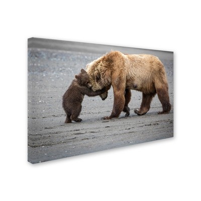 Trademark Fine Art -Renee Doyle 'A Little Bear Hug' Canvas Art