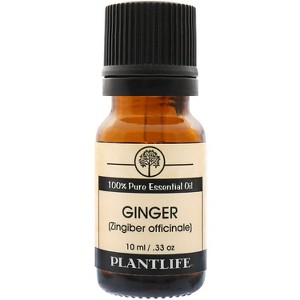 Plantlife Ginger Essential Oil – 100% Pure & Therapeutic Grade – Natural, Undiluted & Steam-Distilled – No Additives or Fillers – 10ml Aromatherapy - 1 of 3