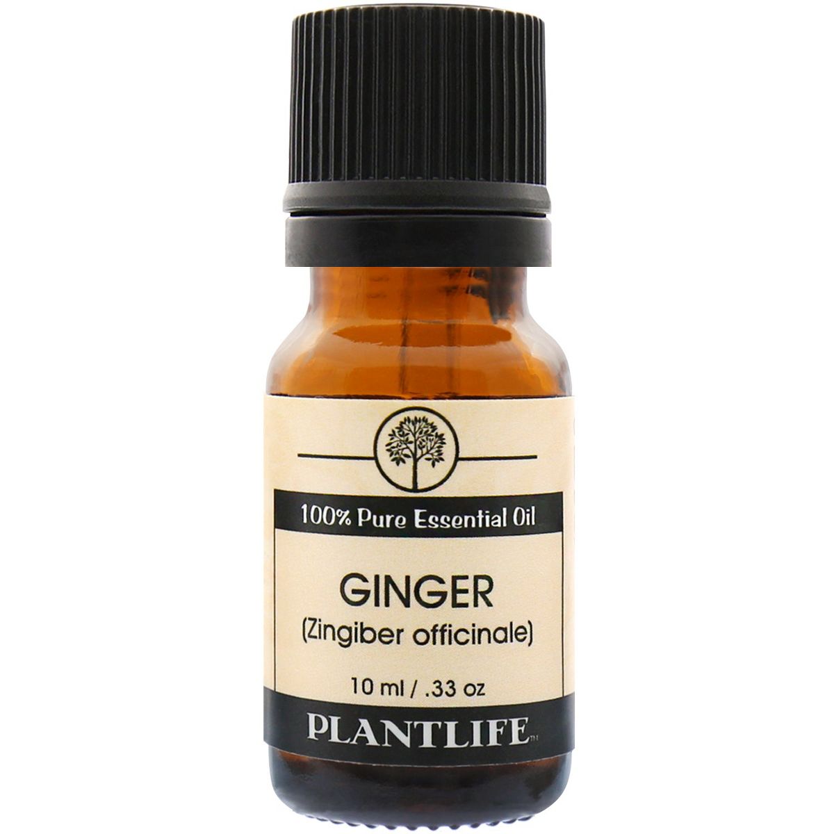 Plantlife Ginger Essential Oil – 100% Pure & Therapeutic Grade – Natural, Undiluted & Steam-Distilled – No Additives or Fillers – 10ml Aromatherapy