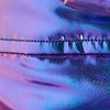 iridescent